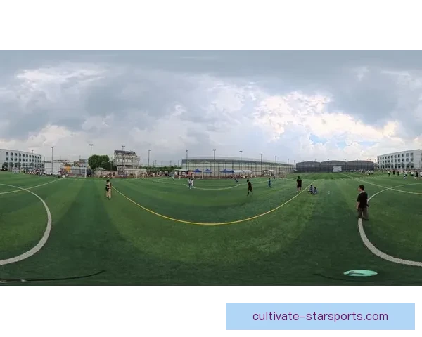 卢顿俱乐部百年沉浮与英格兰草根足球逆袭之路全景解析与未来展望